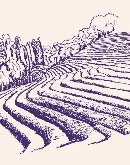 Assam
